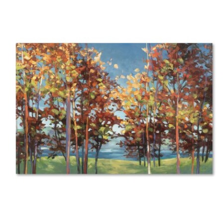 Trademark Fine Art Julia Purinton 'Kaleidoscope' Canvas Art, 30x47 WAP01116-C3047GG